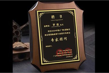 Mr. Luo Jun, CEO of Cabinet Group, was appointed as the expert consultant of